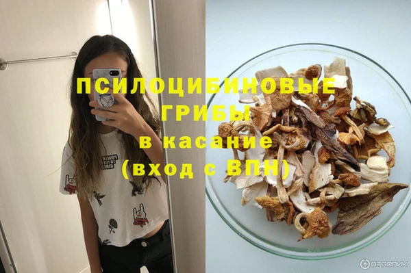 круглые Бронницы